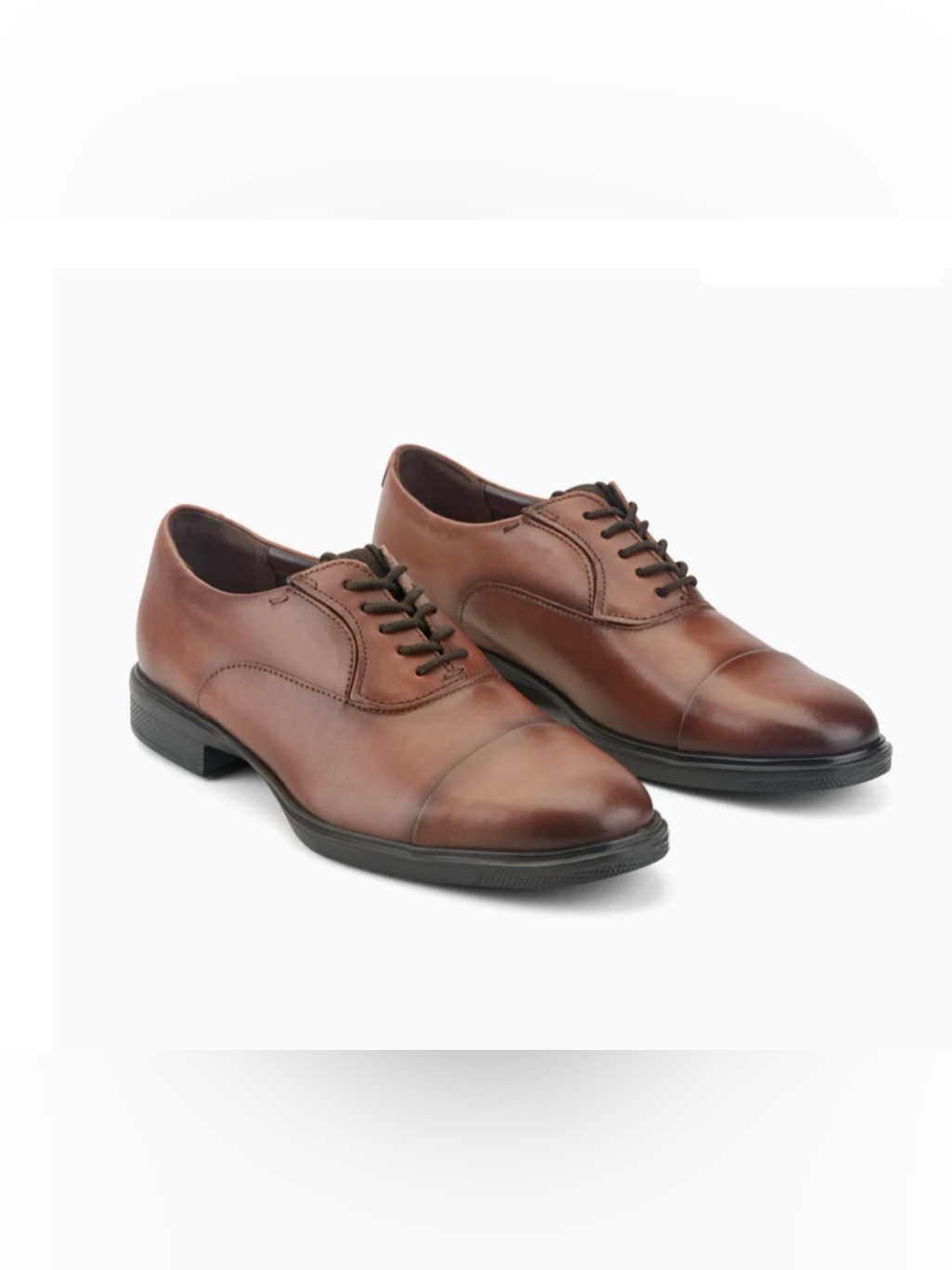 Rockport Men's Brown Leather Cap-Toe Derby Oxfords